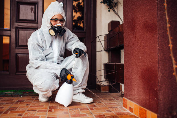 Reliable Cockroach Control contractor in Burr Ridge, IL by Nex Pest Control