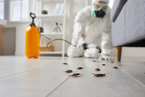 Trusted Cockroach Control service in Burr Ridge, IL - Nex Pest Control