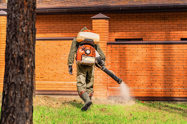 Trusted Termite Control service in Burr Ridge, IL - Nex Pest Control